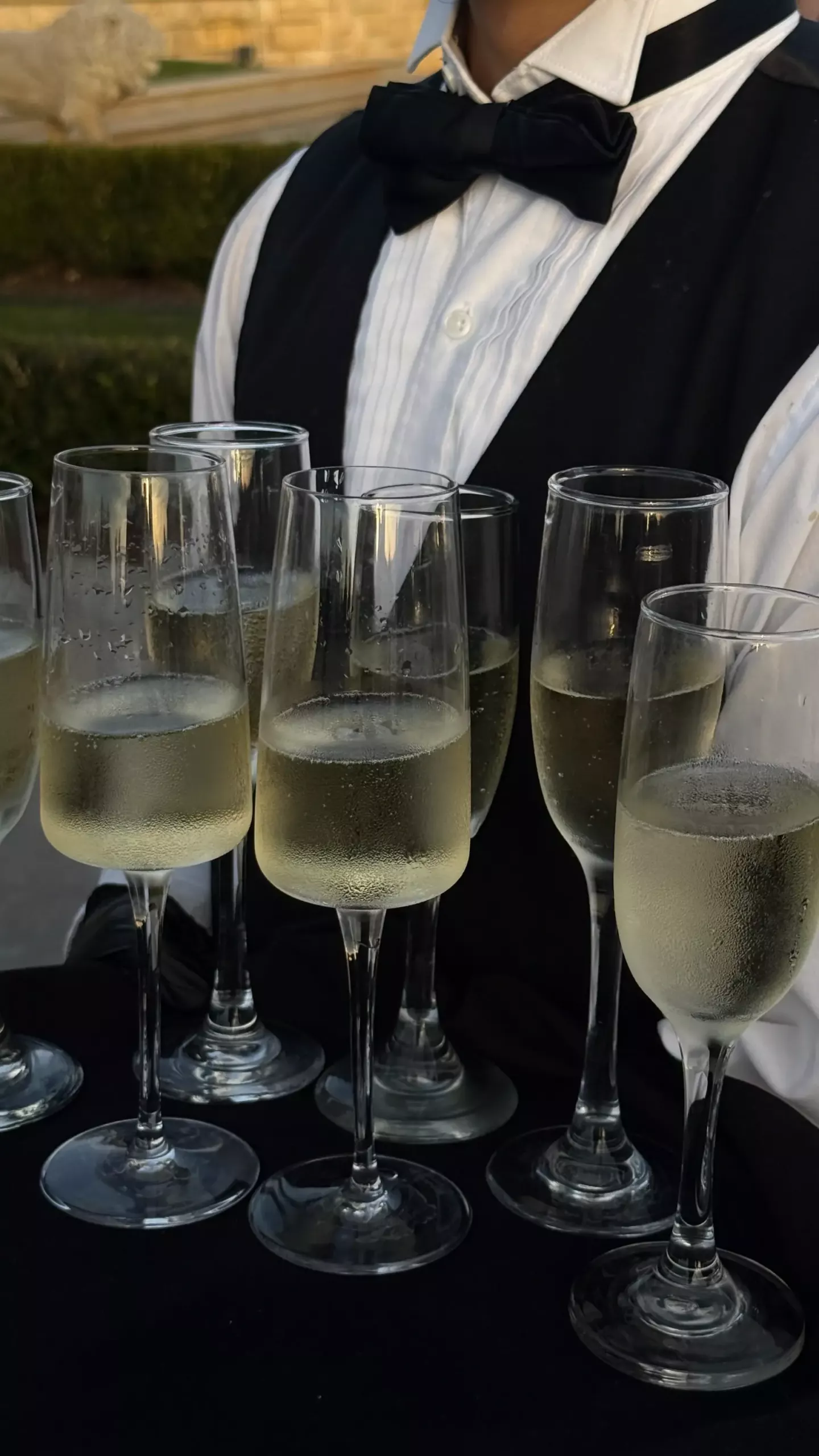 champagne toast champagne toast